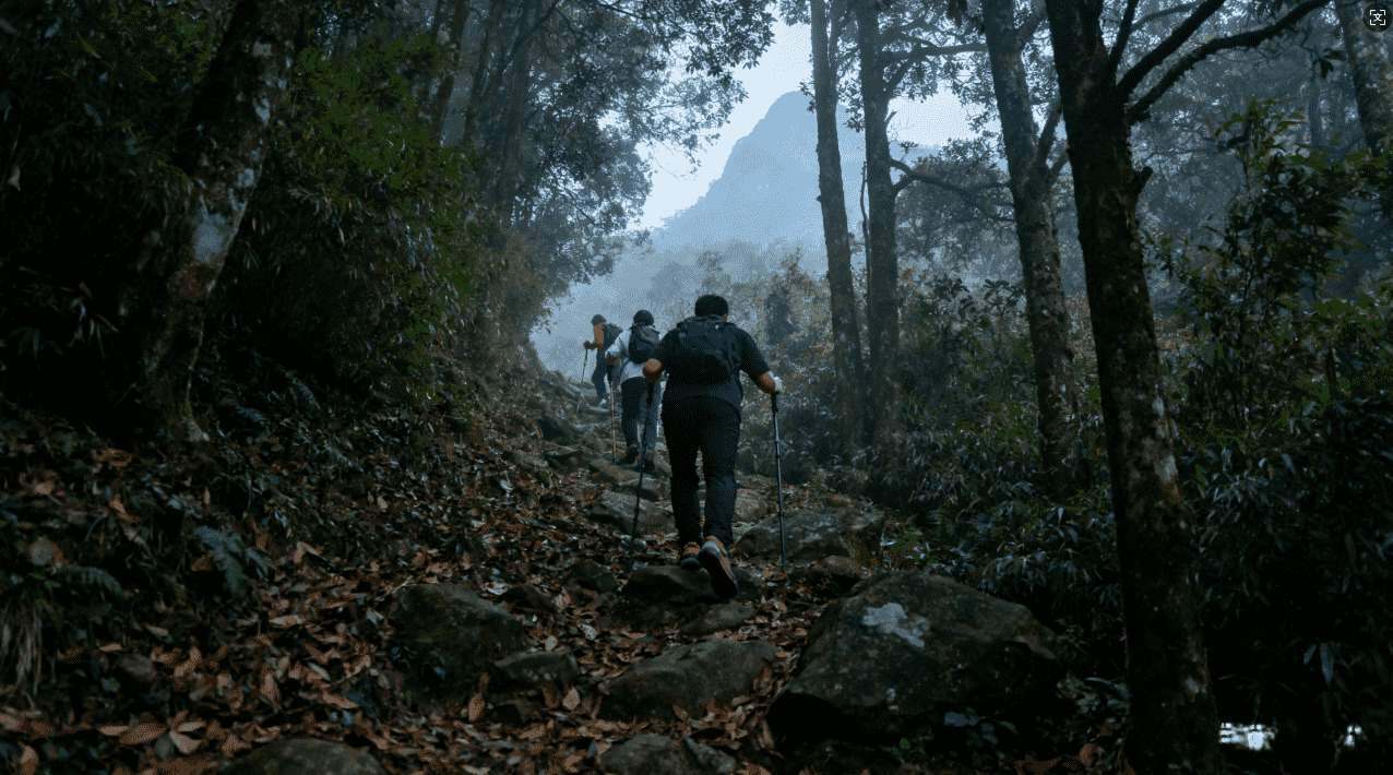 白鲸加速器免费政策详解及其优缺点分析